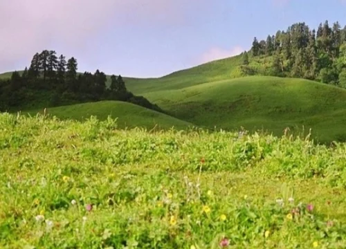 Dayara Bugyal