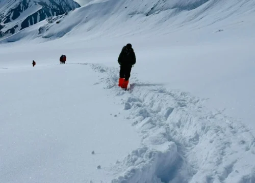 Kalindi Pass Trek Package